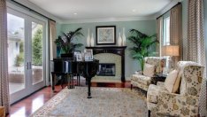 Растения, които прочистват въздуха в дома