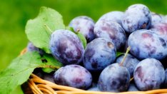 10 алкални храни, подобряващи здравето (галерия) 