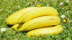 За какви здравословни проблеми помагат бананите? 