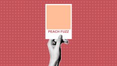 Цветът на 2024 Peach Fuzz в интериора на дома