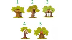 Изберете дърво и вижте какво ви очаква през новата година