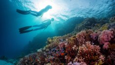 Здравословни ползи от морската вода