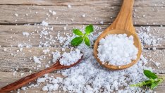 Защо стевията е най-полезният избор в заместването на захарта