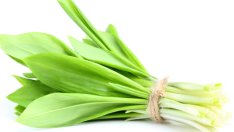 Левурда – за здраво сърце и детокс на тялото