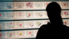 Бедствието, наречено бивша