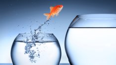 Мисъл на деня