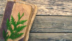 Притча за цветовете и щастието