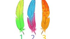 3 пера разкриват какво искате в живота