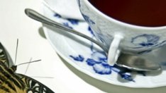 Възстановяване след антибиотик