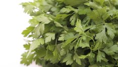 Лековити билки, полезни за бъбреците