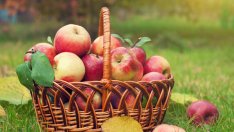 6 причини ябълките да са суперполезни