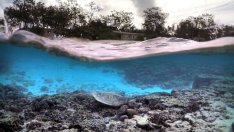 Знаете ли, че... Големият бариерен риф се вижда от Космоса? (галерия)