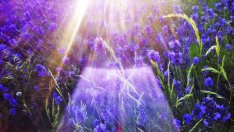 Светлинната терапия подобрява настроението