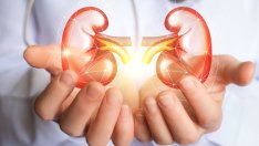 Ежедневни навици, увреждащи бъбреците 