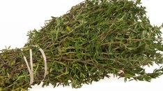 8 ползи за здравето от мащерката