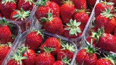 Как да съхранявате ягоди така, че да не се развалят бързо