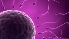 Стресът може да е причина за безплодие