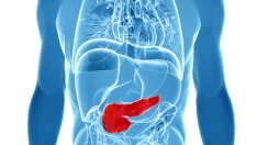 Храни, стимулиращи ензимите на панкреаса (галерия)