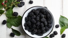 Богати на фибри храни, полезни за червата и храносмилането 