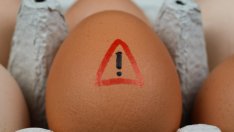 Лесен трик за разпознаване на развалено яйце 