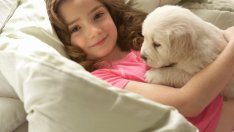 Какъв домашен любимец да изберете за детето