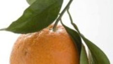 Храни за здраве и енергия през зимата