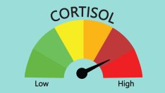 Лесни трикове за намаляване на кортизола