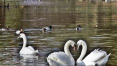 Може ли да живеете с мъж, когото не обичате?