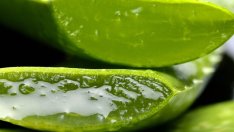 3 алтернативни употреби на алое вера 