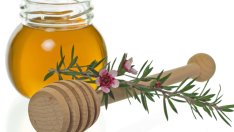 Лечение на гъбички по ноктите с масло от чаено дърво