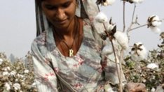 Грижа за памучните дрехи