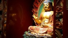 Дзен мъдрости за живота