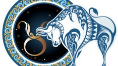 Годишен хороскоп 2017 – Зодия Телец