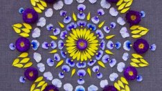 Забележителни цветни мандали  (галерия)