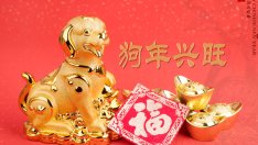 Годината на Жълтото земно куче за любовта и зодиите