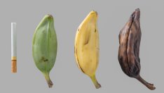 Храни, които чистят организма от никотина 