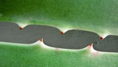 Алое вера – аптека в саксия