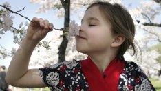 Пътят към откриване на красотата чрез икебана – интервю с Мария Кеменчеджиева