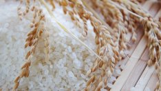 Диетата на японските монаси сваля 10 кг за 10 дни