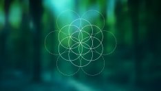 Вдъхновяващи цитати, които ще ви помогнат да повярвате в себе си 