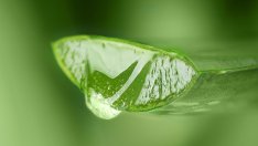 Трик с алое вера премахва плаката по зъбите