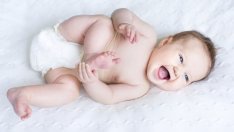 Някои митове за пелените – развенчани