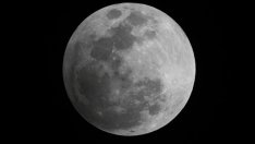 Лунна диета – януари 2013