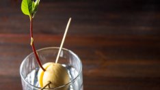 Как да си отгледаме авокадо вкъщи?