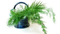 Билки, които помагат при диария