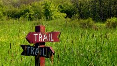 Страдате ли от синдрома нерешителност?