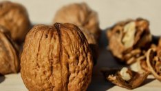 Науката разкрива за какво помагат орехите 