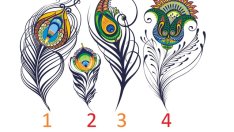 Изберете си пауново перо и вижте какво трябва да направите 