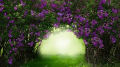 Поверия за Летен Атанасовден – какво не бива да се прави на 5 юли