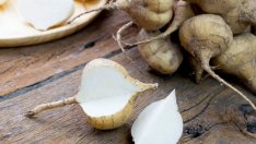 Хикама и нейните ползи за червата и здравето 